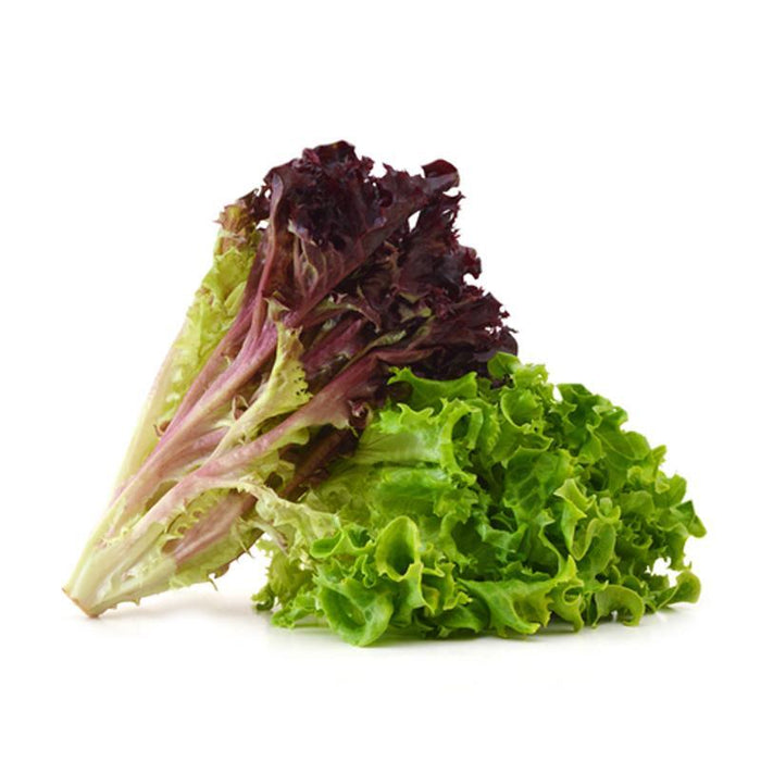 LECHUGA TROPICAL VEGGIES 200G BOLSA