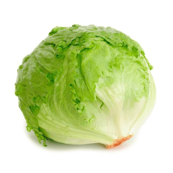 LECHUGA BATAVIA 500g