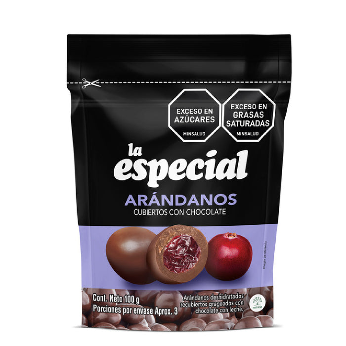 ARANDANOS CUBIERTOS CON CHOCOLATE 100G