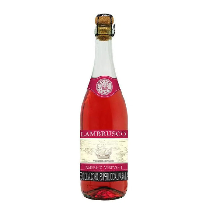 VINO LAMBRUSCO AMERIGO ROSADO