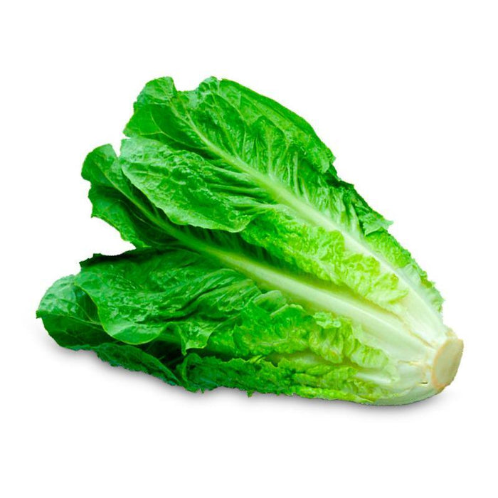 LECHUGA ROMANA VEGGIES 200G BOLSA