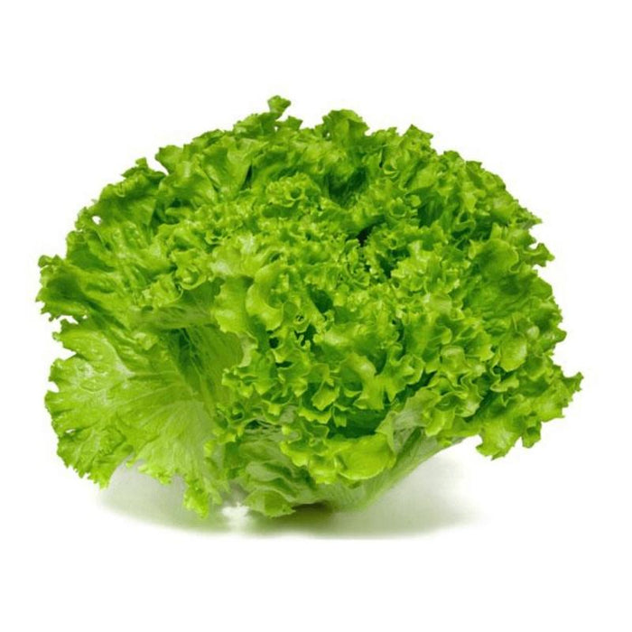 LECHUGA CRESPA VEGGIES 250G BOLSA