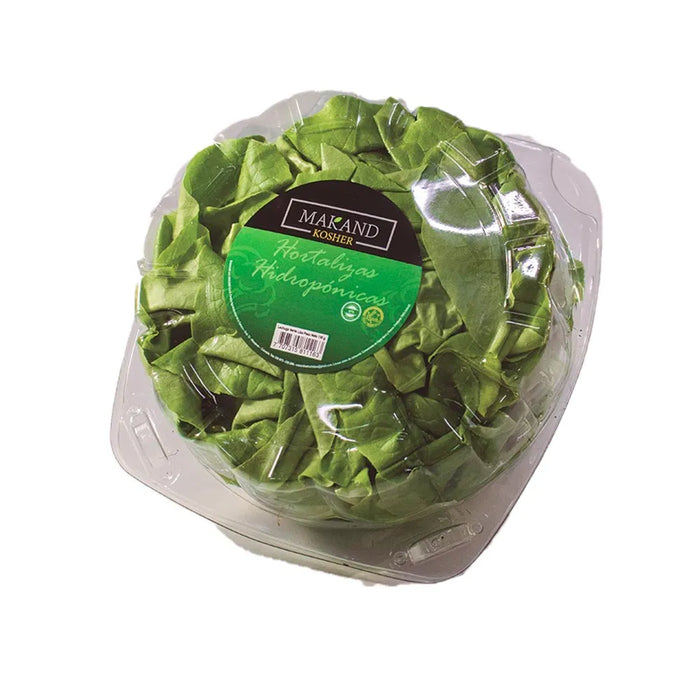 LECHUGA LISA VEGGIES 130G PET